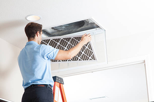 Best Best HVAC Companies  in Mauston, WI